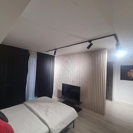 Studio 1 Camera ブカレスト エクステリア 写真