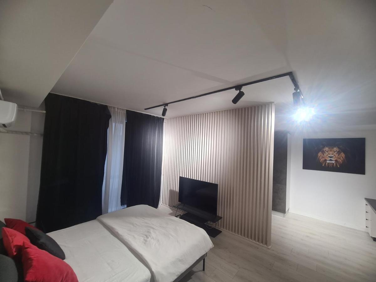 Studio 1 Camera ブカレスト エクステリア 写真